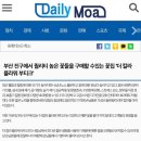 더칼라 이미지