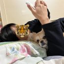 4월에 쓰는 2,3월 일상🤭