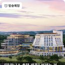 라이브제주