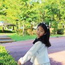 지영박컬렉션 이미지