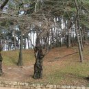 예향문화 이미지