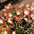 바끄레 민박 이미지