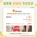 삐땅기의원 이미지