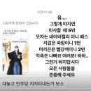 조현스토리 이미지