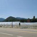 낭천고을 이미지