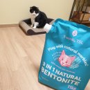 티에스엘 이미지