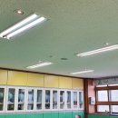 금오초등학교 이미지