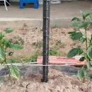 모악농장 이미지