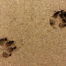 탑스동물병원 이미지