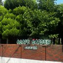 아가페 | [익산] 전북 익산 가볼만한 곳 아가페 정원 가을 주말 후기