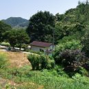 한채하우스민박 이미지