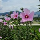 대교로R 이미지