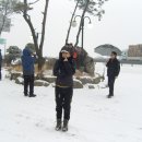 야산1 Daum카페