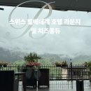 54라운지 | 스위스 벨베데레 호텔 라운지 이용 및 치즈퐁듀 후기 여자혼자 유럽여행