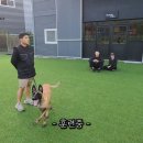 힐링그루밍 이미지