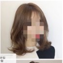 빈스헤어(Bin's hair) | 덕천 미용실 세팅펌 / 덕천동 미용실 SC컬 허쉬컷 머리맛집 :: 오빈헤어 O.Bin hair