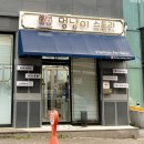 멍냥이 스토리 이미지