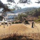 성현축산 이미지