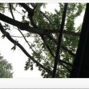 고무서리산장 이미지