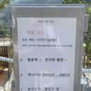 무궁화 슈퍼 | 힐사이드인가평 캠핑장 마운틴뷰가 내맘속에 쏙 들어왔던 1박2일 A2사이트 후기(31개월 아기랑 캠핑)