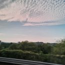 생활원예 야간 이미지