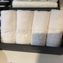 코자자호텔(대명항) 이미지