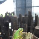 우리농장 이미지