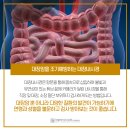 마포리더스내과의원 이미지