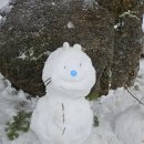 정선송어횟집 이미지