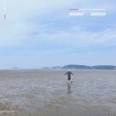 태안 캠핑장 몽산포자동차야영장 국립공원 야영장 예약 명당
