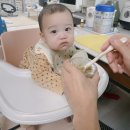 (주)베베쿡 | 베베쿡, 얌이밀 이유식 체험팩 후기(+베이비본죽)