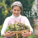 쉼표 더하기 이미지