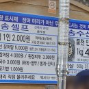 천송셀프 이미지