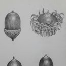 아미동 주민센터 이미지