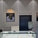 유성선물(대진전자) 유성빌딩 | 국제표준금거래소 유성점 찐 방문 후기