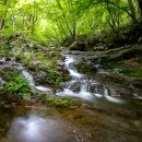 태안사계곡 이미지