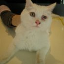 서림동-28 이미지