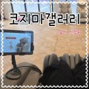 가정1-01-052 | 코지마갤러리울산점코지렌탈체험후기 가정의달선물추천