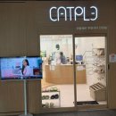 캣플헤븐 엘리스빌 인천서구점 | 인천 실내데이트 루원시티 고양이카페 캣플헤븐 솔직후기