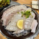 회뜨는집 | 구리 횟집 | 바다회뜨는집 내돈내산 후기 다양한 메뉴가 있는 횟집