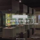 태백산업개발㈜ | 태백 아이와 가볼만한곳 추천 태백석탄박물관