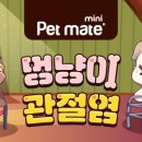 디엔씨동물병원 이미지