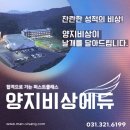 비상고시