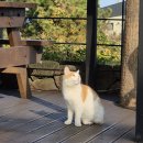 베니키아호텔제주 | 제주 애월 가성비 숙소 _ 베니키아호텔제주, 혼자 숙박 자세한 후기