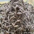 최유만농장 네이버블로그