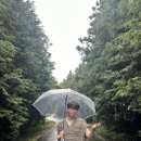 동부목장 | 제주 동부 가볼만한곳 제동목장 입구, 백약이오름, 용눈이오름 후기