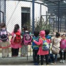 왜관동부초교 이미지