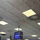 블랙앤드 압구정 | 노량진 대방어회 후기｜전라상회 인어교주해적단 포장 주문 솔직 리뷰