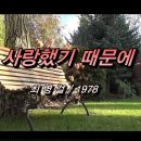 사랑했기 때문에-최병걸 이미지