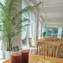 몬스마리 이미지